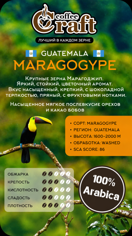 Кава в зернах Guatemala Maragogype - фото товару 2